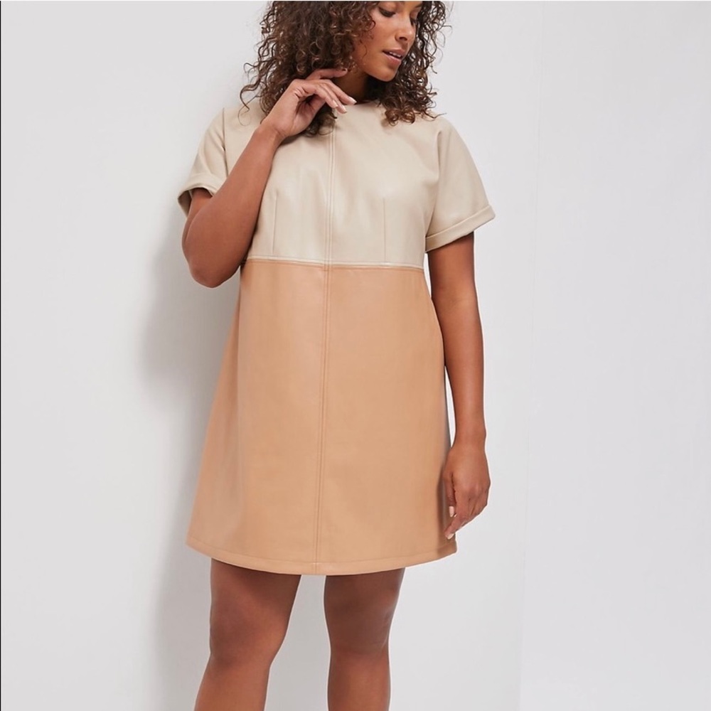 Anthropologie Andrea Faux Leather Mini Dress